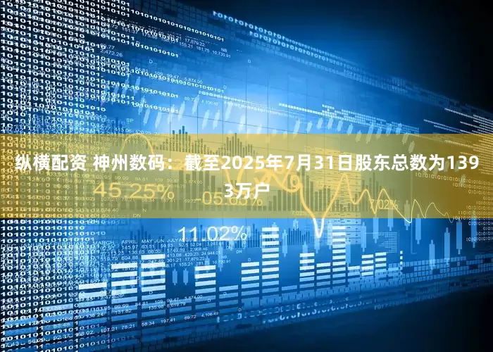 纵横配资 神州数码：截至2025年7月31日股东总数为1393万户